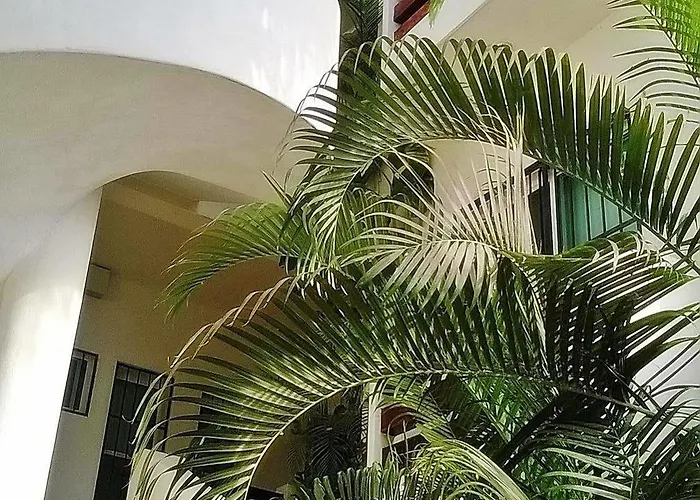 Adelina Acomodação com café da manhã  Playa del Carmen