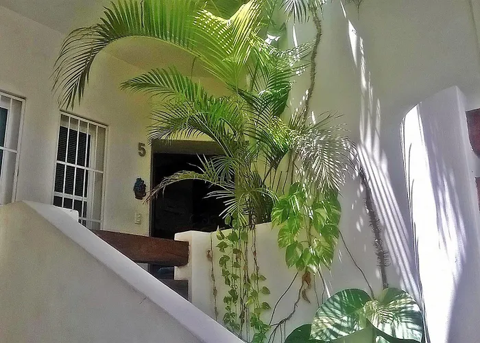 Adelina Acomodação com café da manhã  Playa del Carmen
